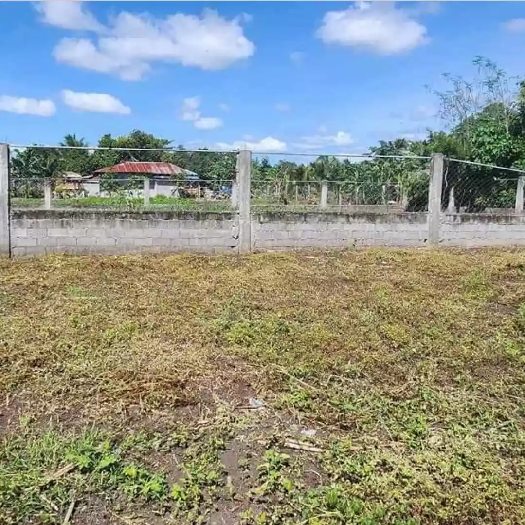 Lot for Sale in Purok Malinawon, Conel, General Santos City - photo 5