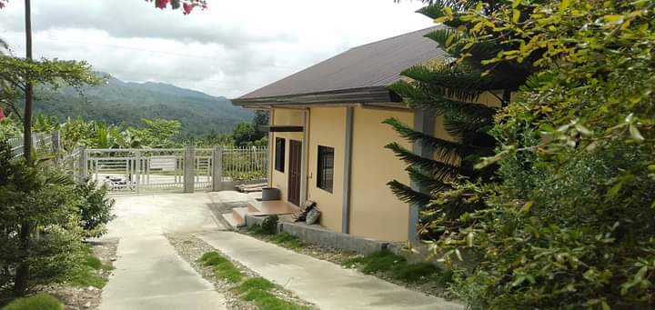HOUSE AND LOT WITH FARM LOT FOR SALE - photo 3