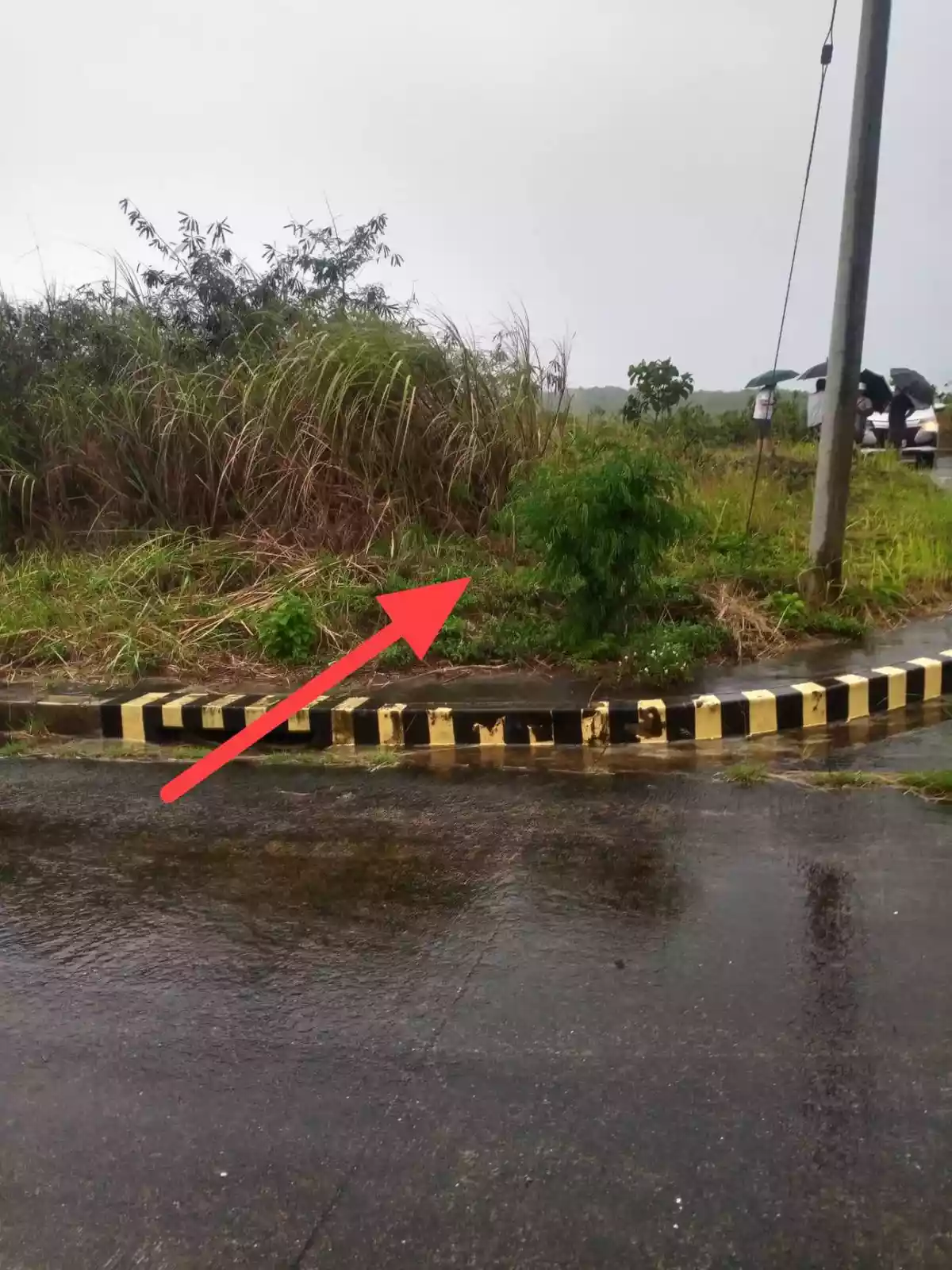 Affordable Corner Lot  for sale at Crown Height, Compostela Cebu — Residential Lot in Compostela, Cebu, Philippines — Photo 7