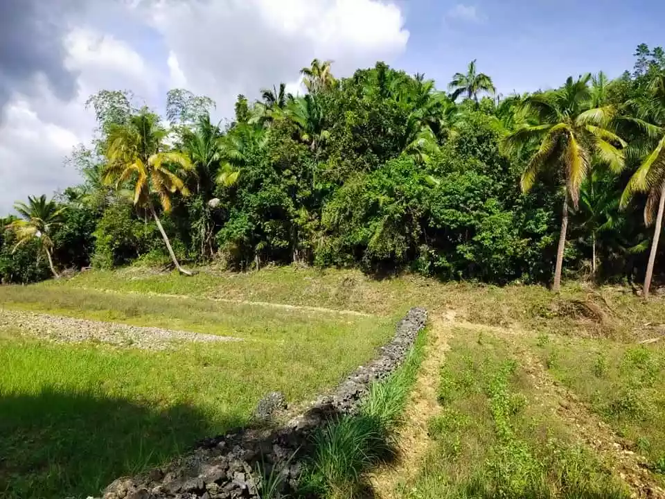 Lot for sale - photo 4