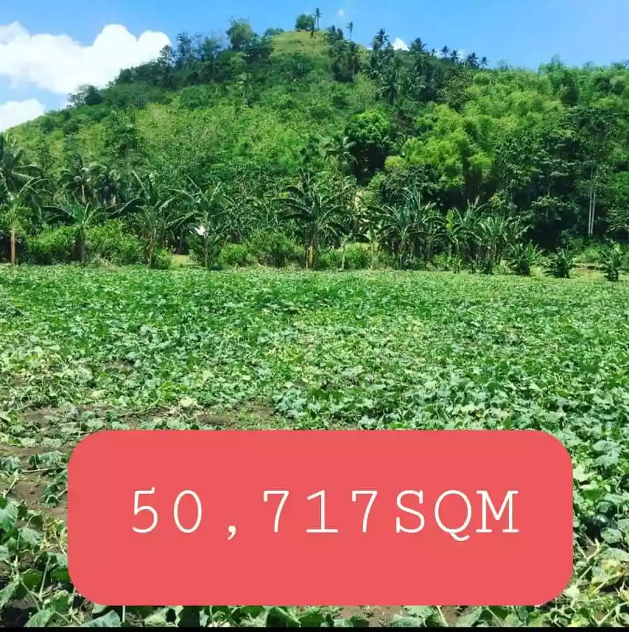 Open photo 13 of 20 — Lot For Sale!!
