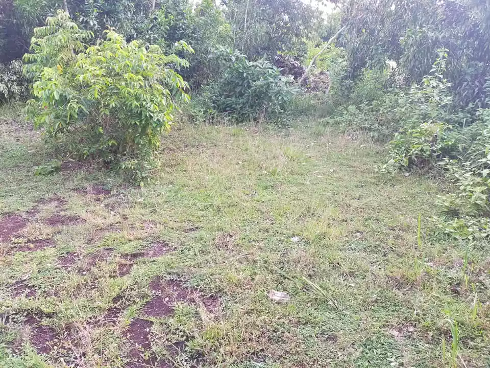 Beachfront 238sqm clean title lot for sale in Tabalong Dauis Panglao Island Bohol  17k per sqm - photo 6