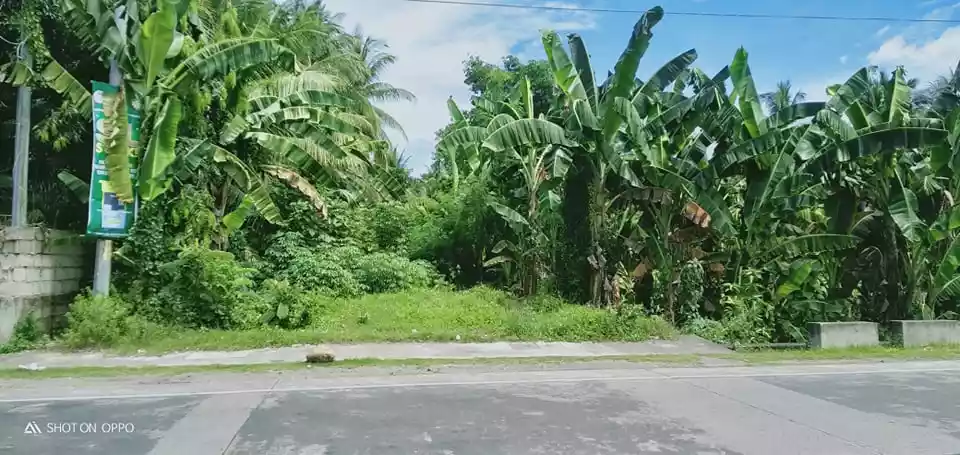 Commercial Lot For Sale - Along National Superhighway — Commercial Lot in Negros Oriental, Philippines — Photo 5