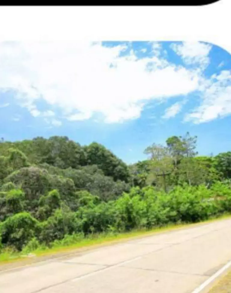 Lot For Sale in Alicia, Bohol — Agricultural Lot in Bohol, Philippines — Photo 6