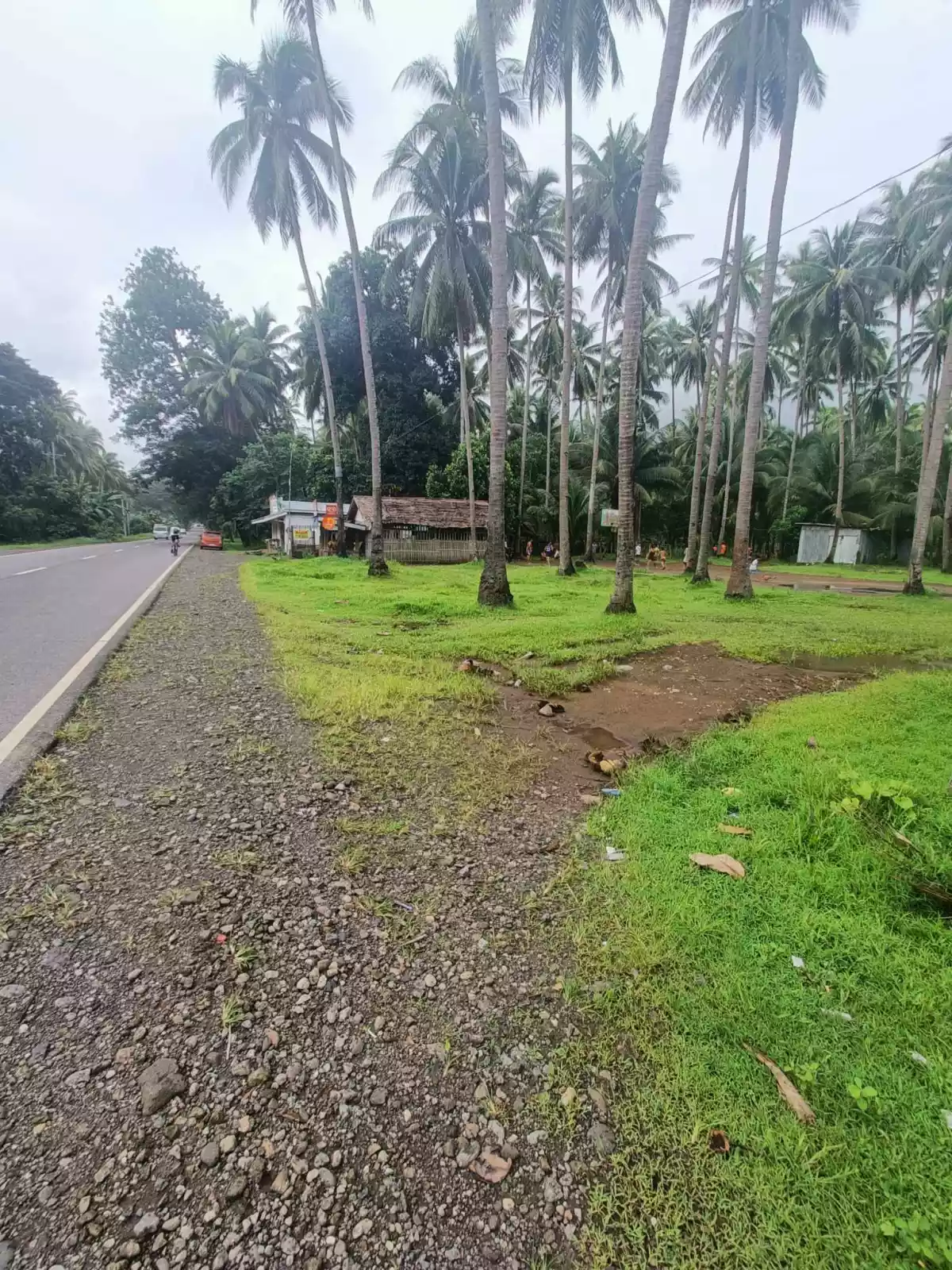 LOT FOR SALE - photo 3