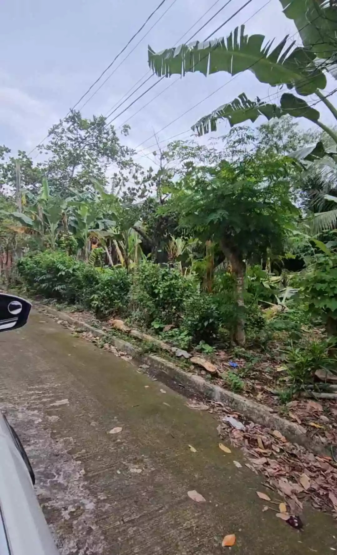 RARE FIND RESIDENTIAL LOT IN CARMELA EXECUTIVE TALISAY CITY  - photo 6