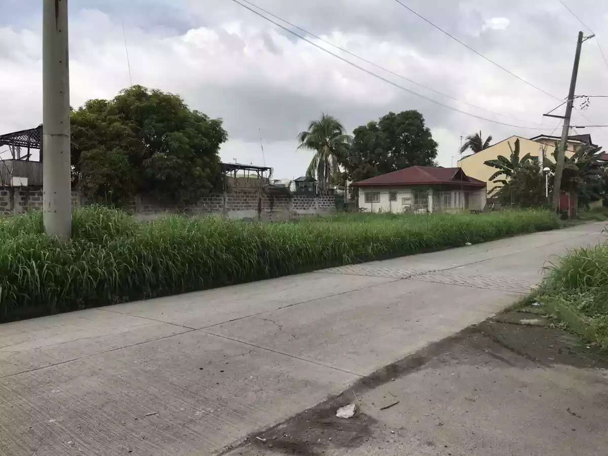 Residential lot at Town and Country DasmariÃ±as Cavite - photo 4