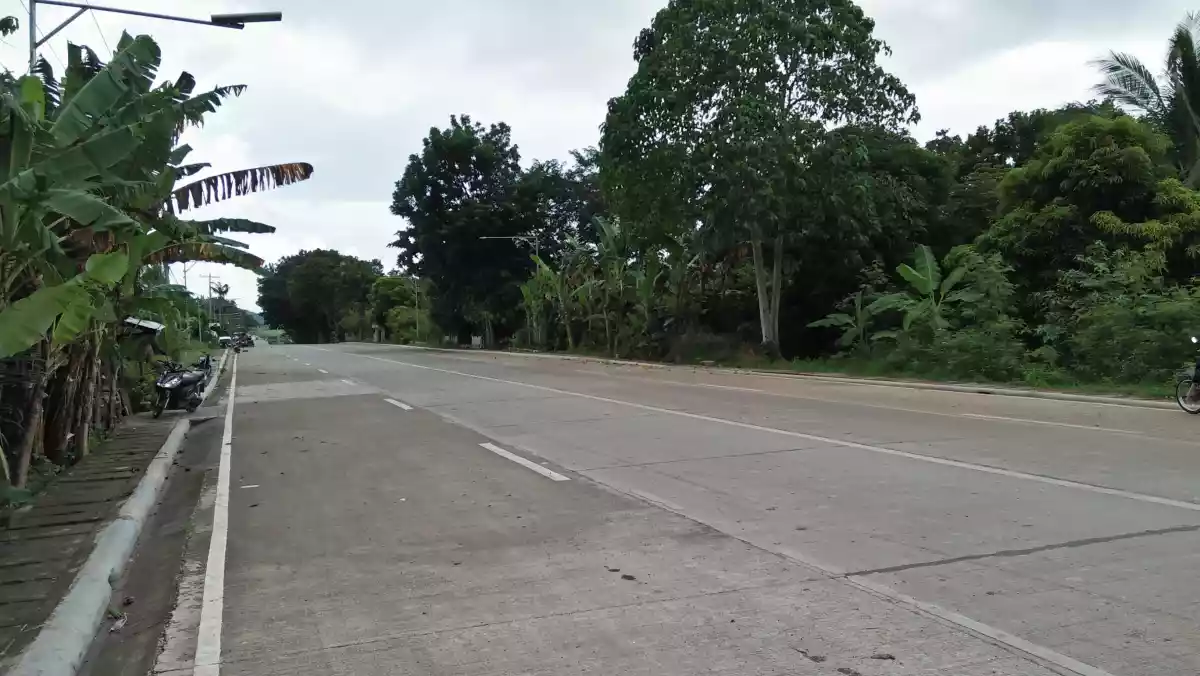 45 hectares Farm Land for Sale - photo 3