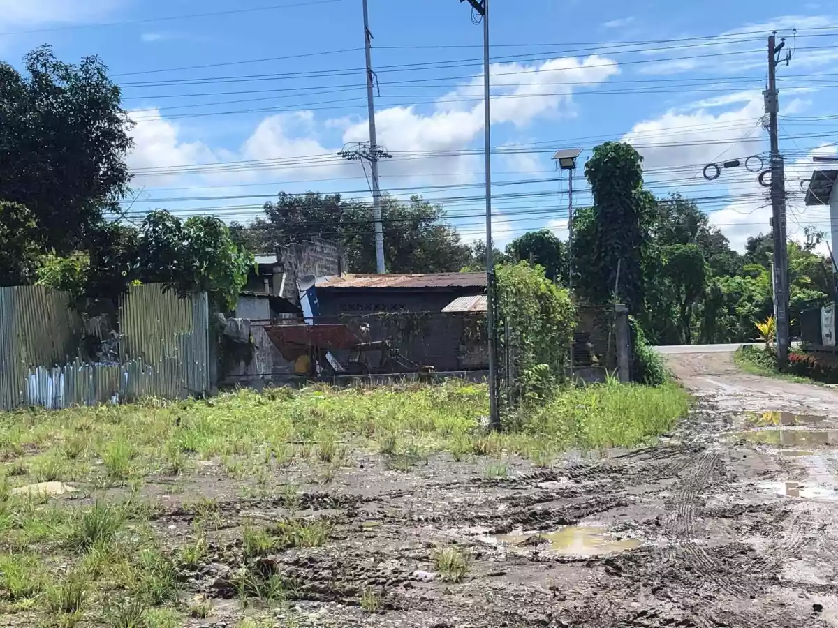 Commercial Lot in Calinan — Commercial Lot in Brgy. Calinan, Davao-Bukidnon Road, Calinan District — Photo 5
