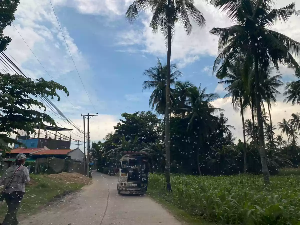 Tunghaan Minglanilla Cebu Lot