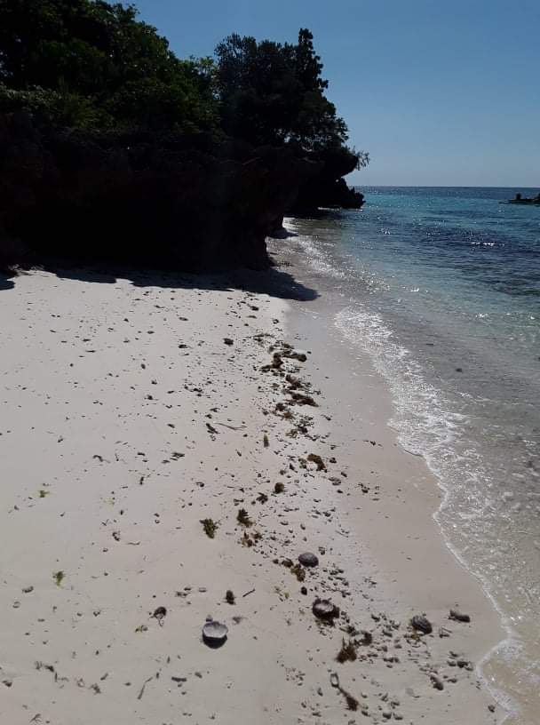 Lot for sale — Agricultural Lot in Anda, Bohol, Philippines — Photo 5