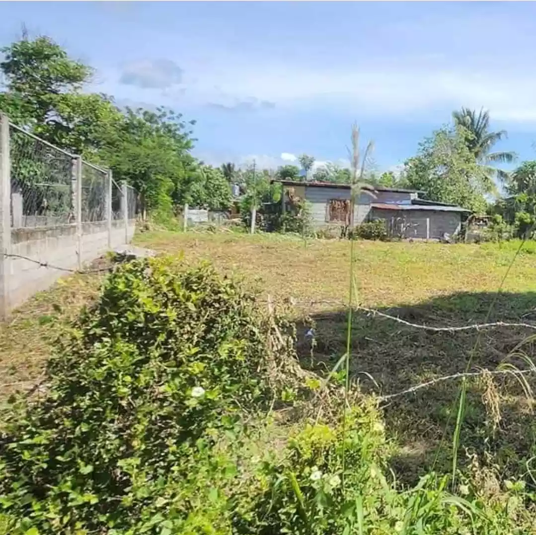 Lot for Sale in Purok Malinawon, Conel, General Santos City - photo 3