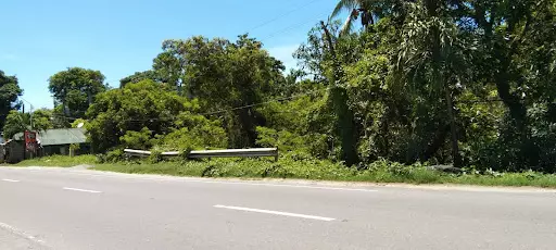 Commercial Lot in Carmen Cebu for SALE! — Commercial Lot in Carmen, Cebu, Philippines — Photo 2