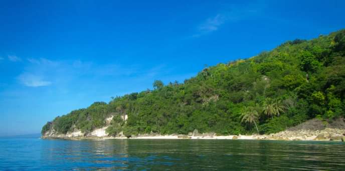 For sale Beach lot in Bangcogon Oslob Cebu  - photo 3