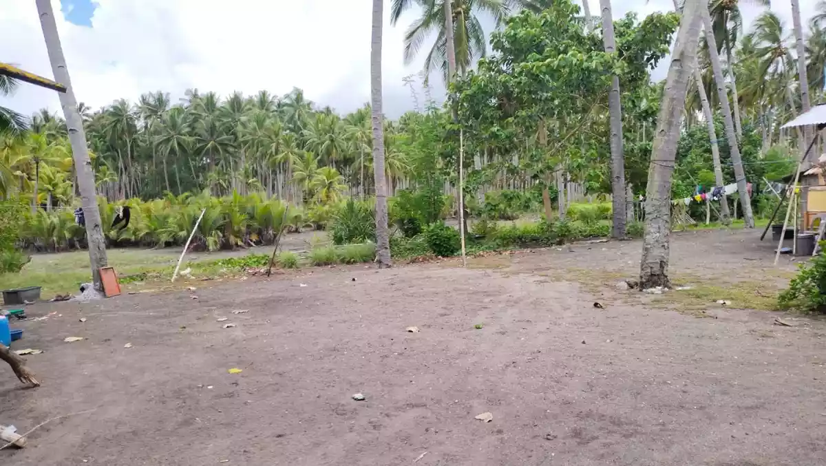 T-4851 — Agricultural Lot in Glan, Sarangani, Philippines — Photo 6