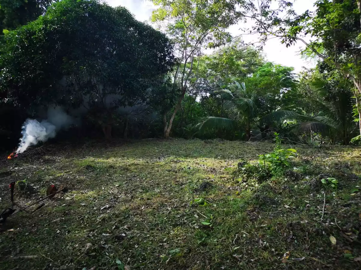 Open photo 13 of 15 — Property for Sale in panglao