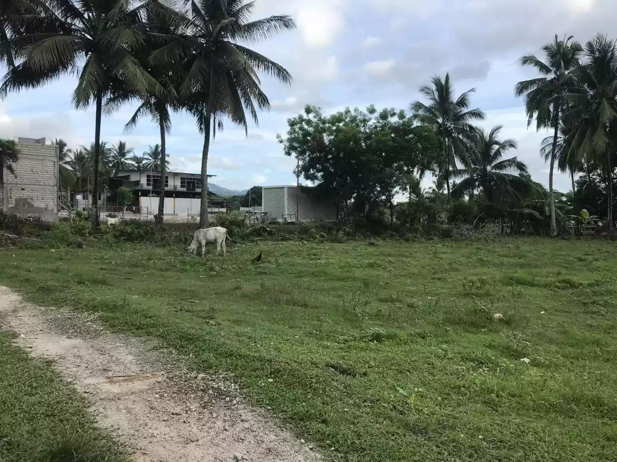 Lot for Sale — Residential Lot in Sibulan, Diversion Road, Sibulan — Photo 5