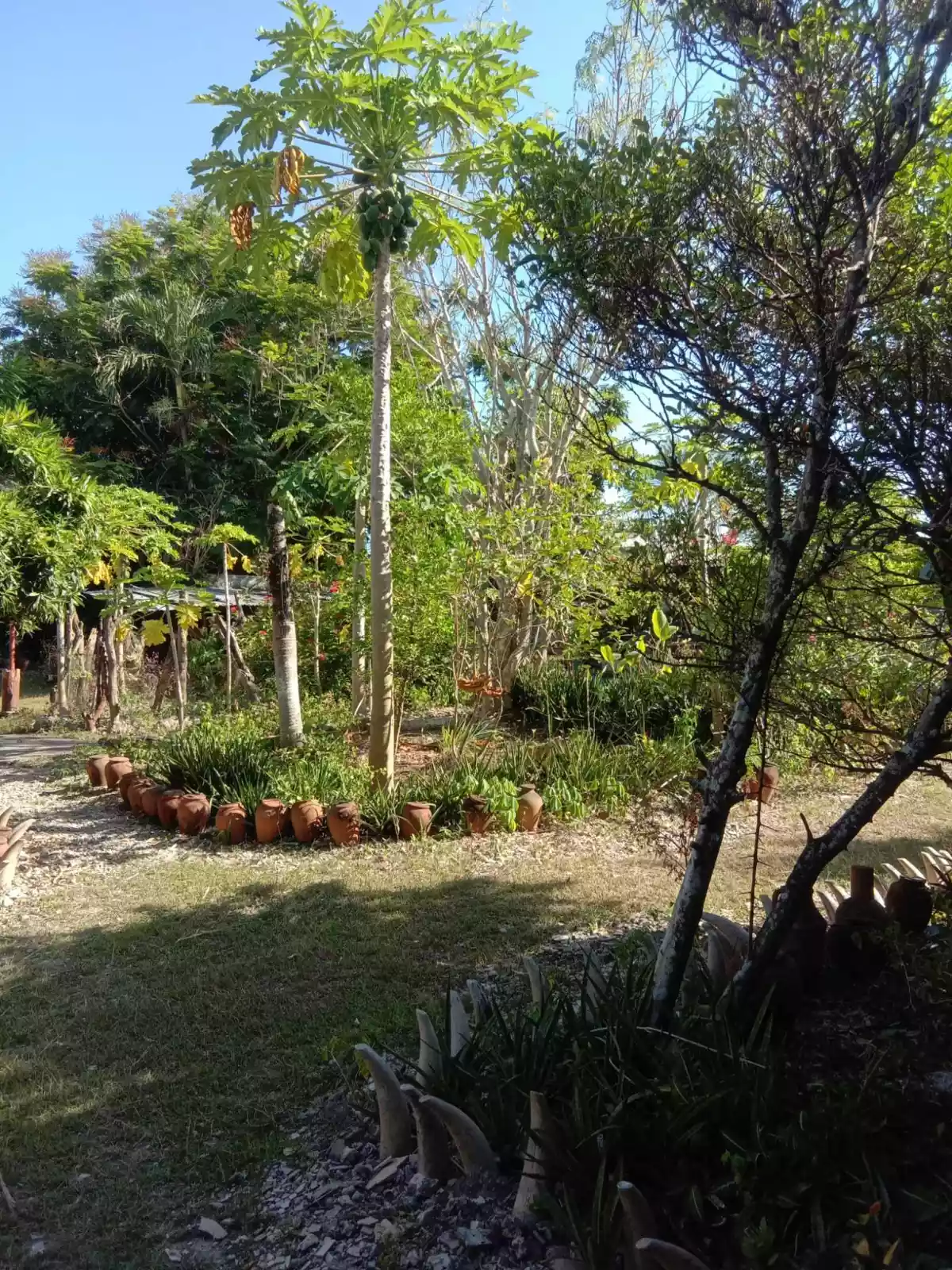 House and Lot For Sale — House and Lot in Liloan, Purok Pilapil Land, Liloan — Photo 2