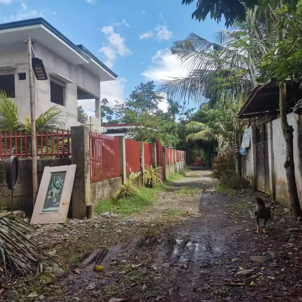 LOTS FOR SALE IN JANIUAY, ILOILO (with clean title each lot) — Residential Lot in Janiuay, Iloilo, Philippines — Photo 6