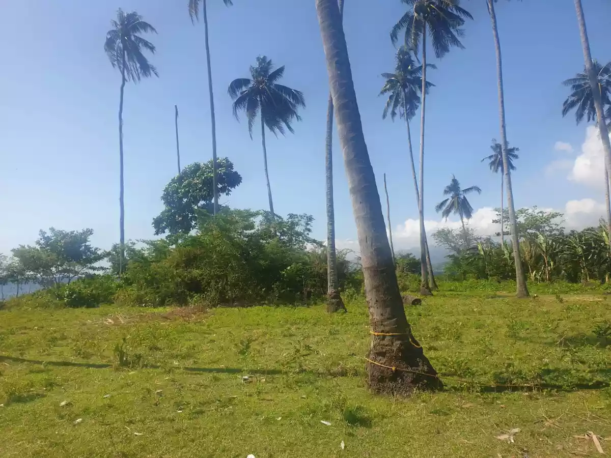BEACH LOT FOR SALE — Agricultural Lot in Negros Oriental, Philippines — Photo 3