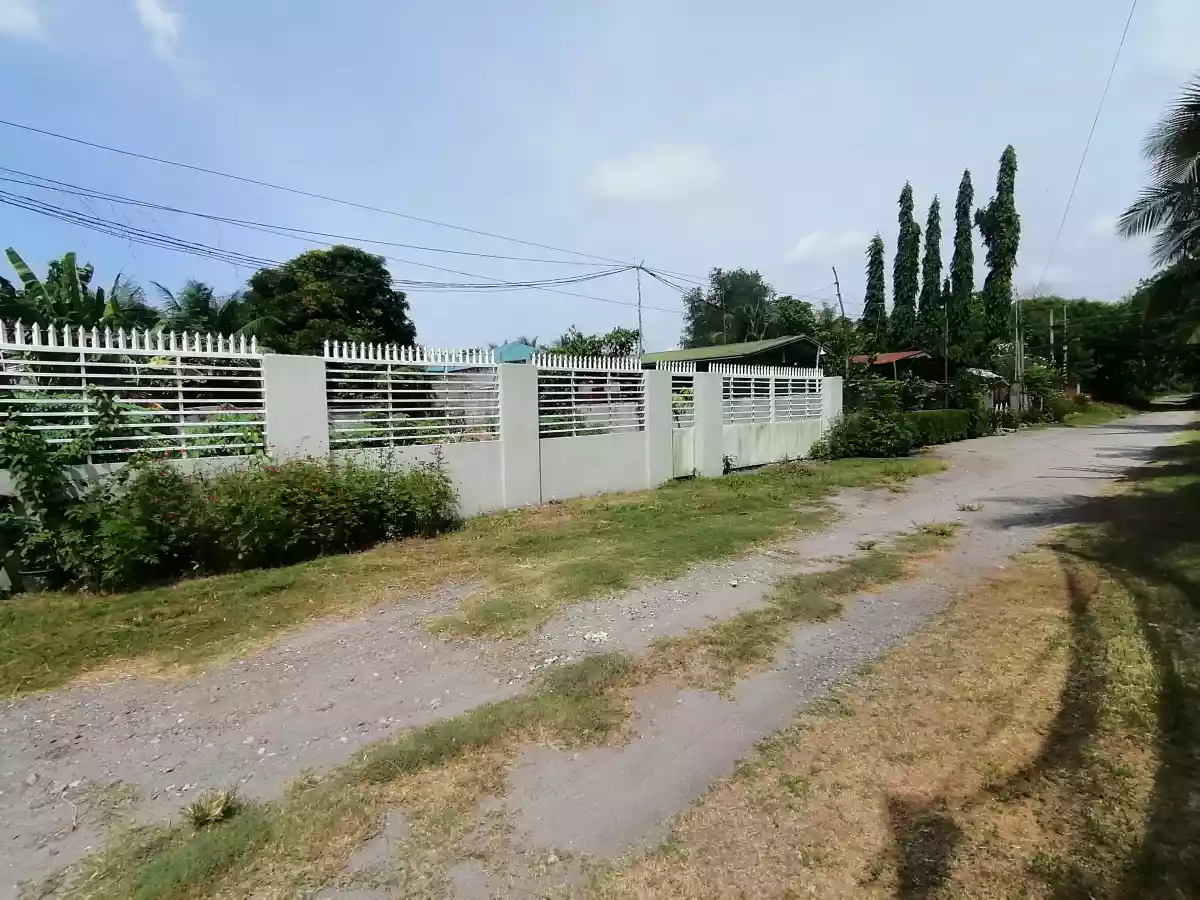 303sqm RESIDENTIAL LOT NEAR SAVEMORE MALAKAS - photo 2