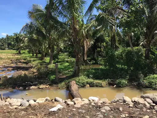 For sale lot near Gaisano Mall Tubod LdN! — Commercial Lot in Lanao del Norte, Philippines — Photo 6