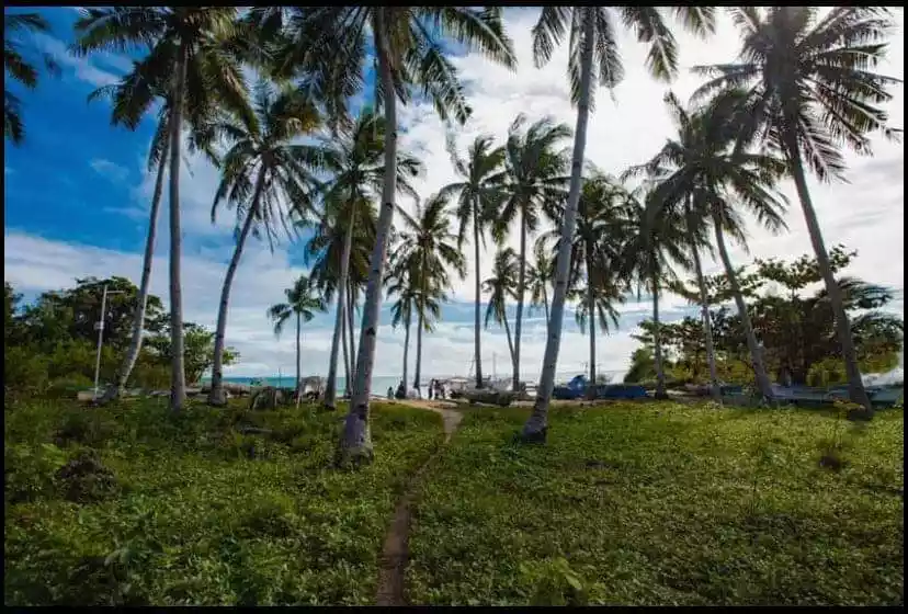 Beachlot for sale - photo 5