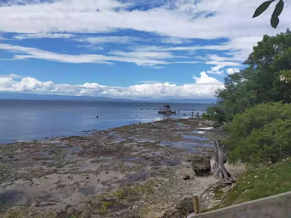 776sqm beachfront lot for sale in Pangangan Island Calape Bohol 4k per sqm - photo 5