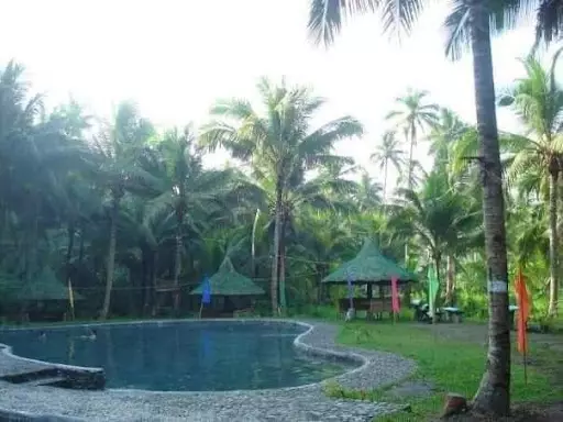 Tropical Hot Spring — Commercial Lot in Sorsogon, Philippines — Photo 6