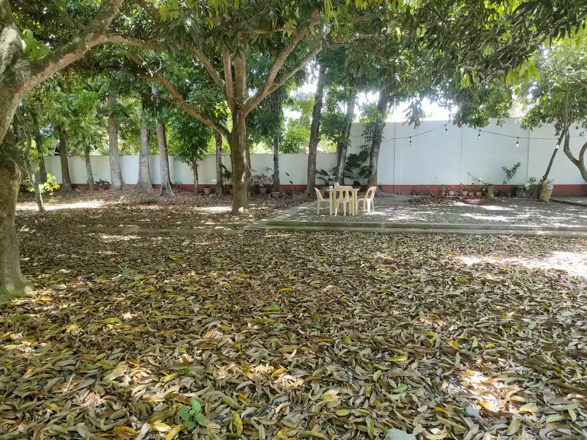 Open photo 13 of 22 — Lot for Sale with Bachelors Pad in Talay Dumaguete City