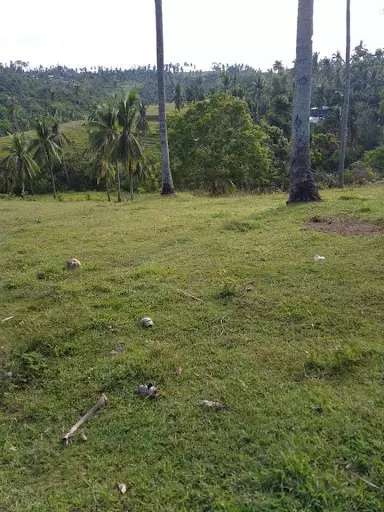 FARM LOT IN BARILI — Agricultural Lot in Cebu, Philippines — Photo 5