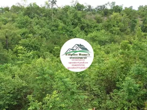 Very rush agri lot — Agricultural Lot in Cebu, Philippines — Photo 3