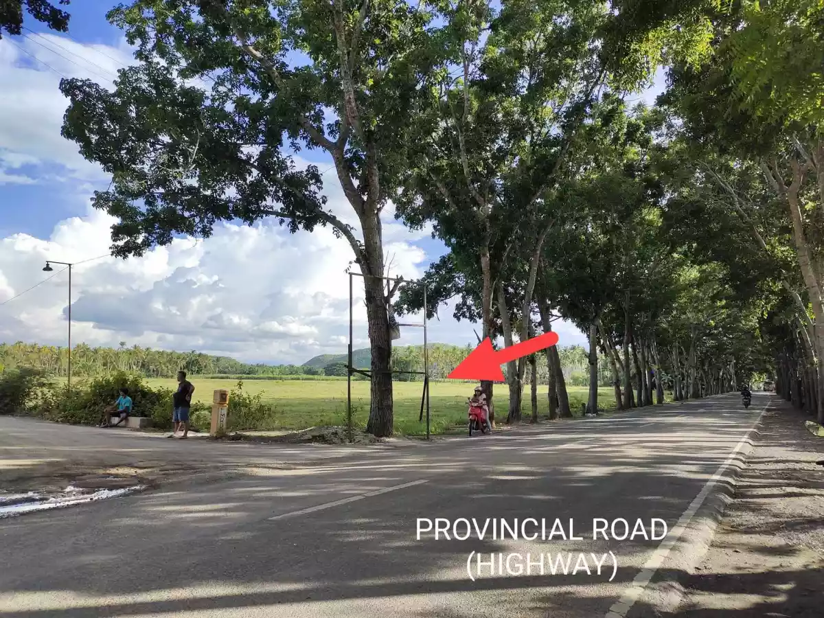 Lot for Sale in Tuburan, Cebu — Commercial Lot in Poblacion, Tuburan, Cebu — Photo 5