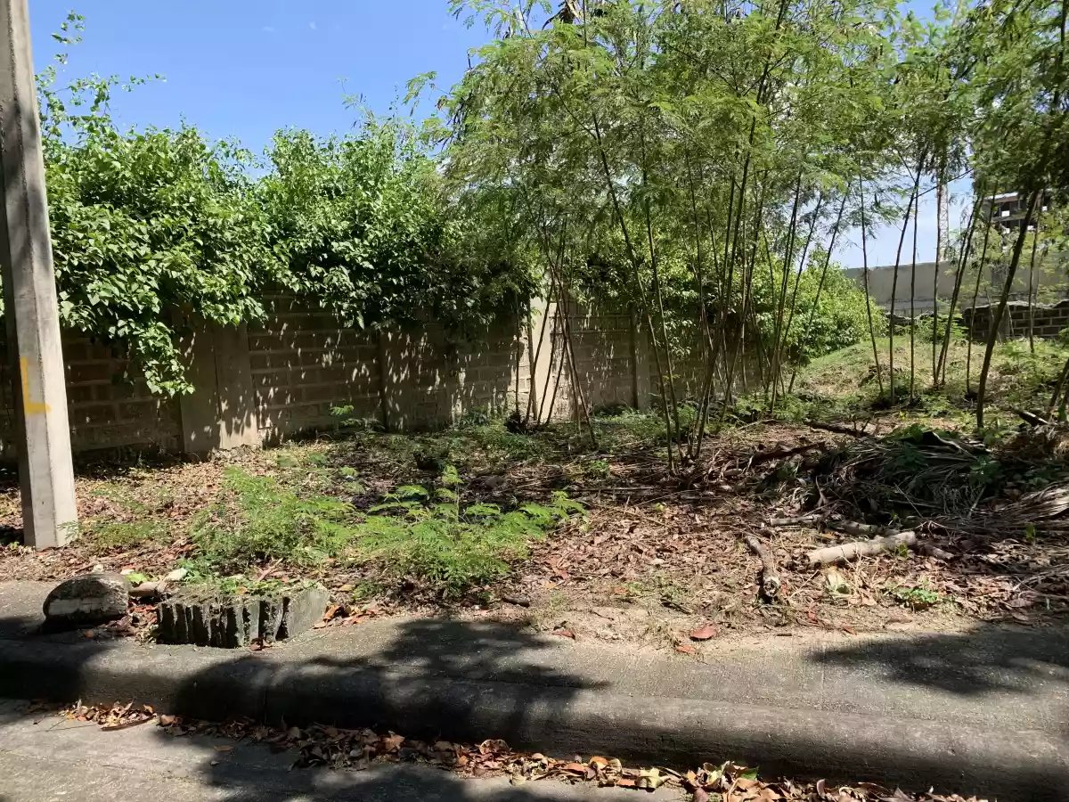 Villas Magallanes lot for sale in Lapu-Lapu City — Residential Lot in Ibabao - Gisi - Agus Road, Lapu-Lapu City, Cebu — Photo 6