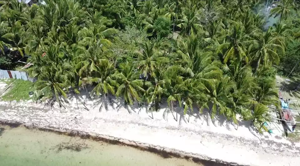 Titled White Sand Beach Lot in Bantayan Island — Beach Lot in Philippines — Photo 3