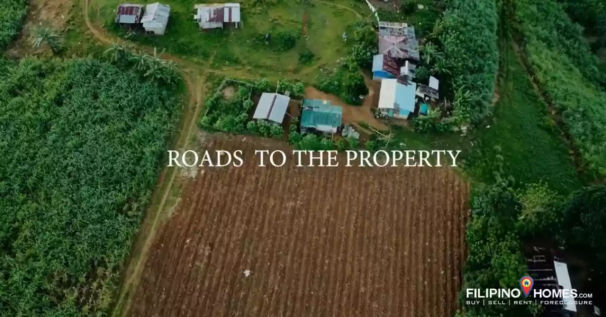 LOT in Don Salvador for sale — Agricultural Lot in Negros Occidental, Philippines — Photo 6