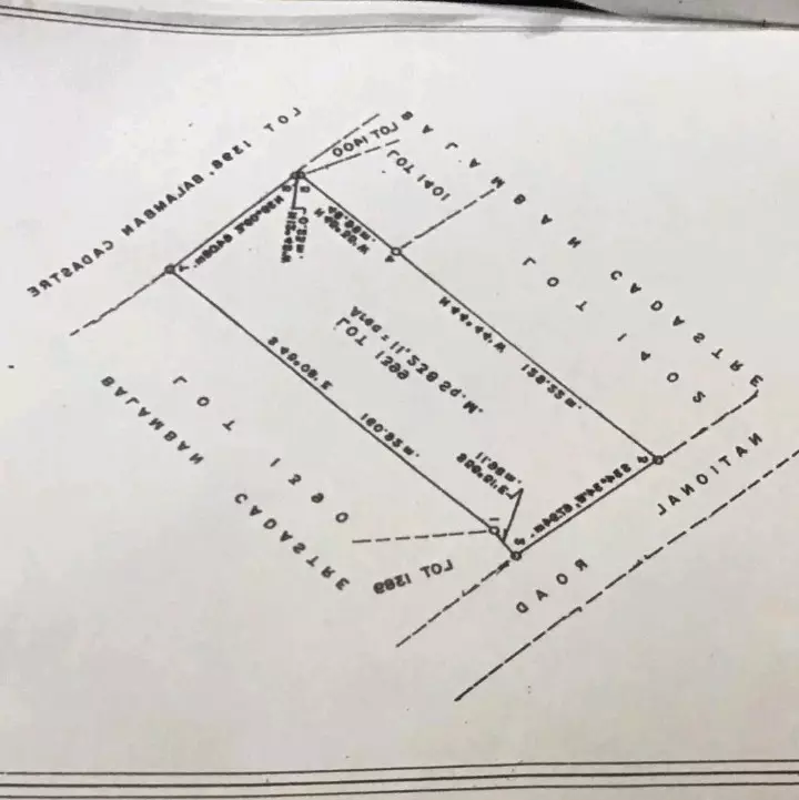 Balamban Raw Lot - photo 3