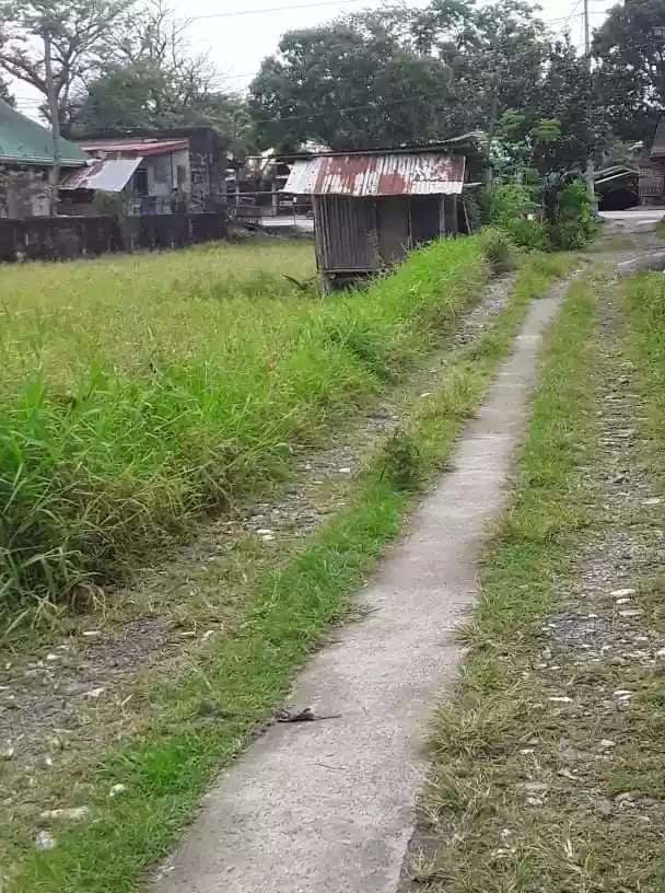 PSD - 06 - 061586 / T - 162589 - photo 2