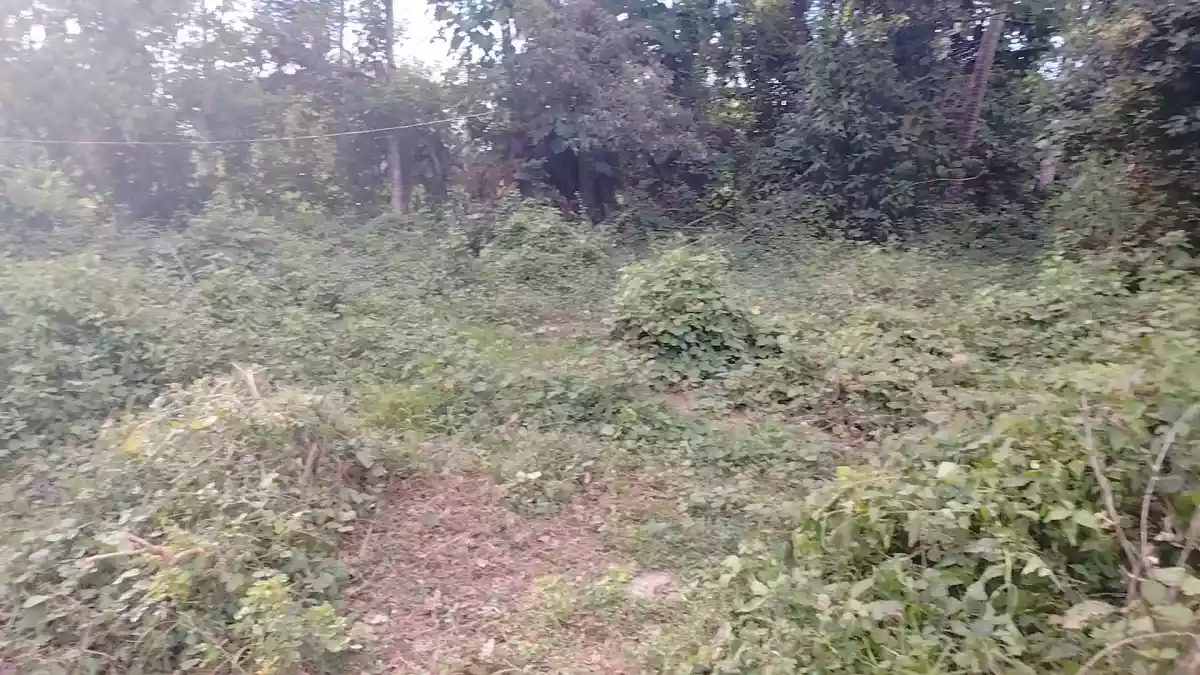 LOT FOR SALE!!! - photo 4