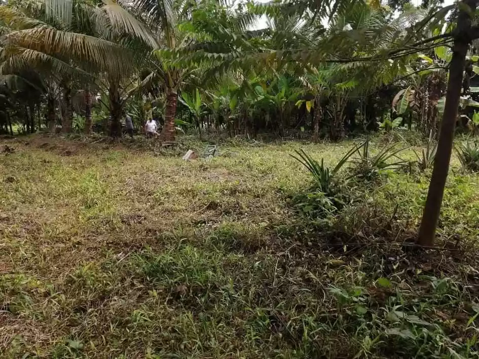 lot — Commercial Lot in Negros Occidental, Philippines — Photo 2