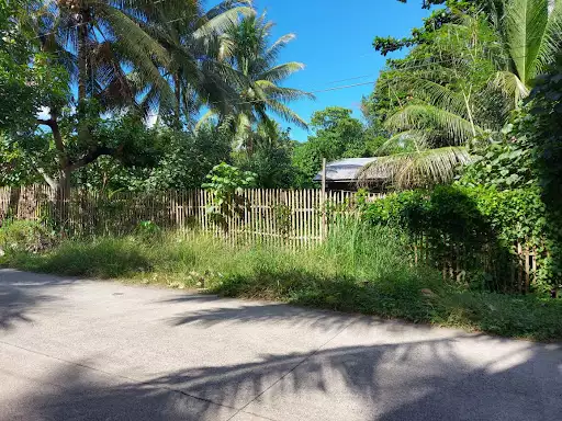 Residential title 130103-17-258 — Residential Lot in Cabadbaran City, Agusan Del Norte, Philippines — Photo 4