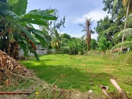 RESIDENTIAL LOT (City proper of Digos) — Residential Lot in Digos City, Davao del Sur, Philippines — Photo 6