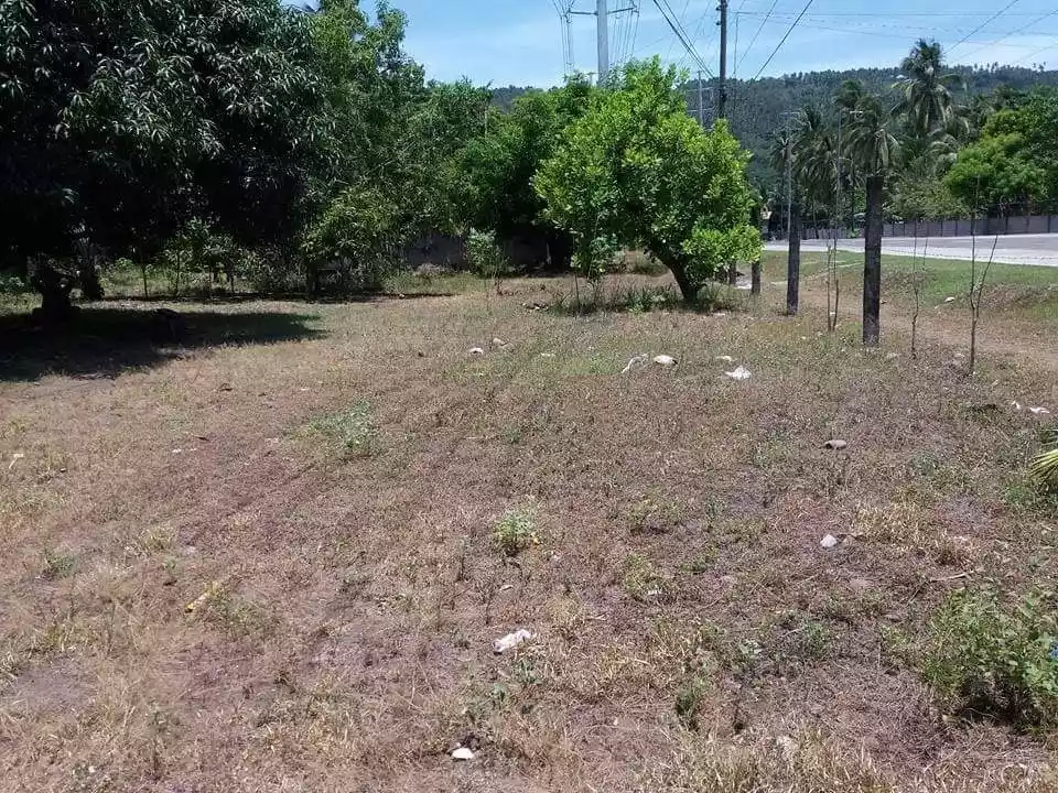 Lot for Sale — Commercial Lot in Balingasag, Misamis Oriental, Philippines — Photo 3