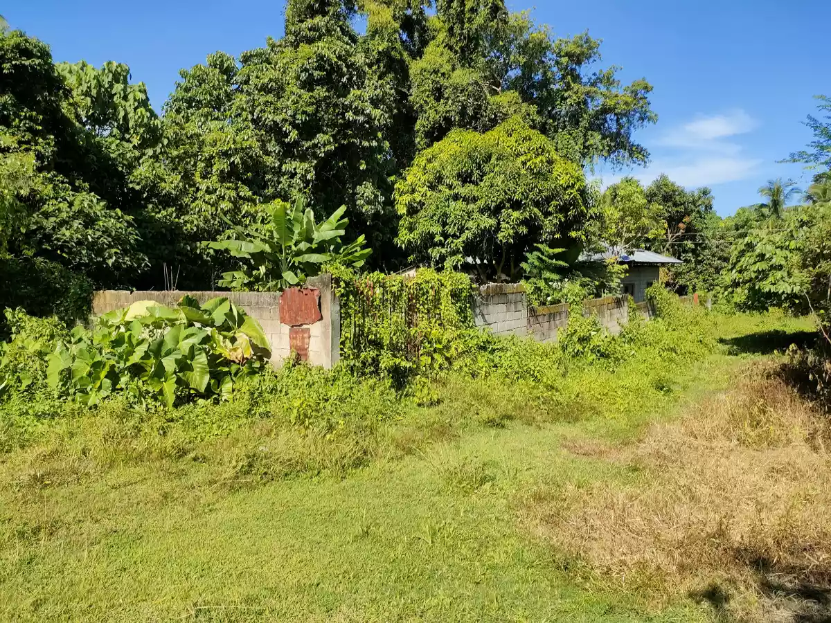 Unfinished House & Lot for Sale in Bong-ao, Valencia - photo 3