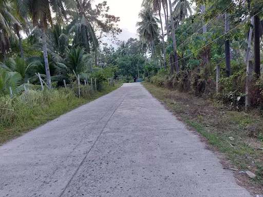 Residential lot in Bacong/Dumaguete for Sale — Residential Lot in Bacong, Negros Oriental, Philippines — Photo 3