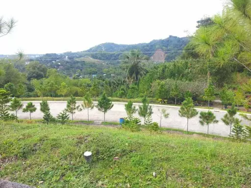 Prime Lot for Sale in Pit os Talamban — Residential Lot in Cebu City, Cebu, Philippines — Photo 3