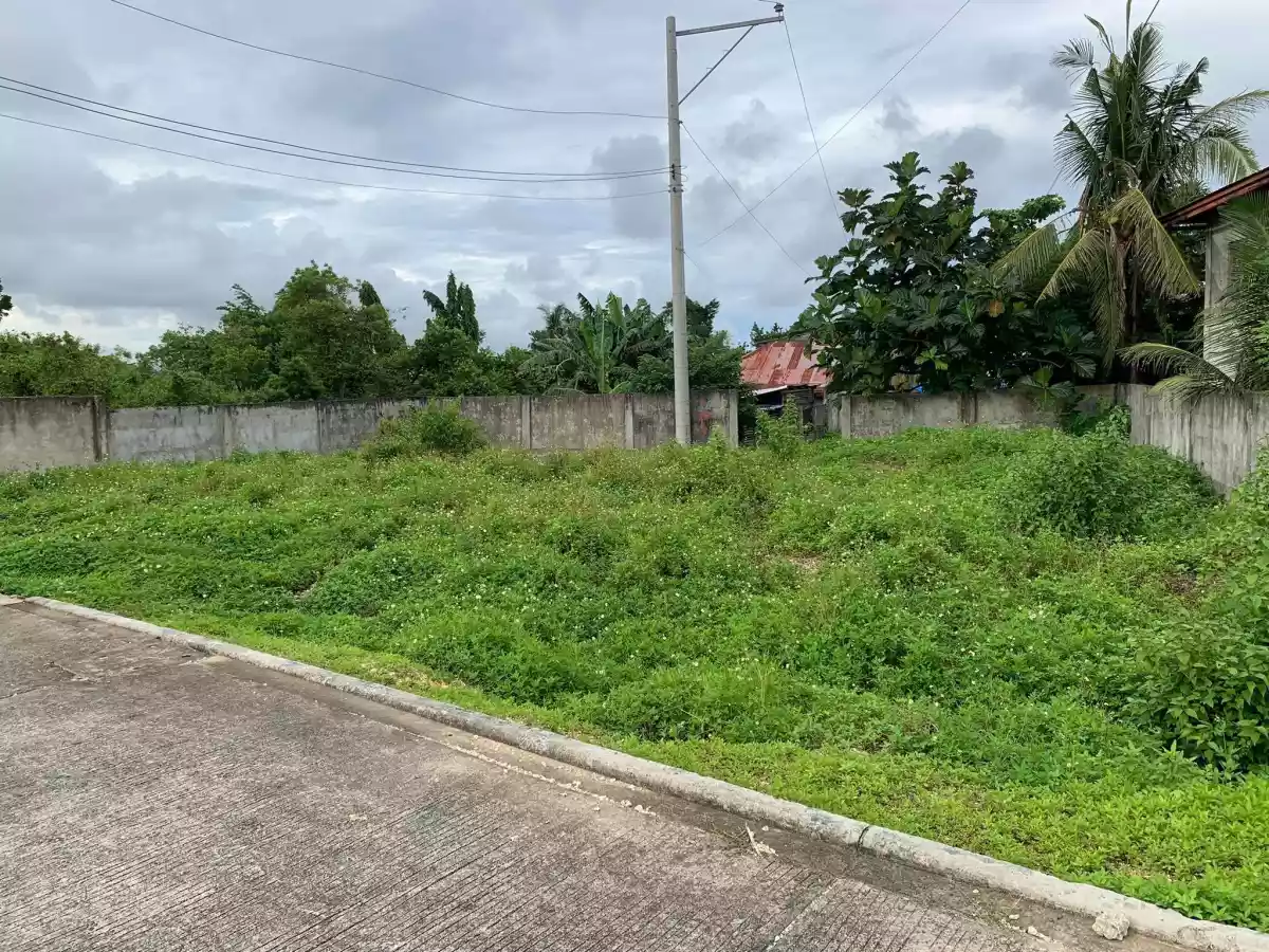 Lot for Sale in Catarman Liloan - photo 3