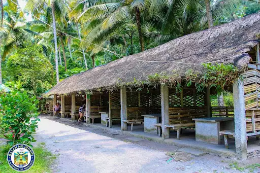 Tropical Hot Spring — Commercial Lot in Sorsogon, Philippines — Photo 5