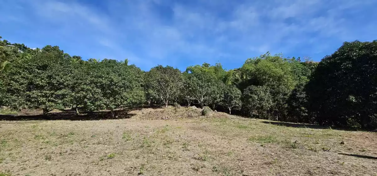 CABUNGAHAN AGRICULTURAL LOT - photo 5