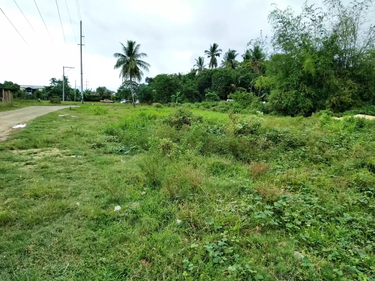 Affordable Industrial lot - photo 4